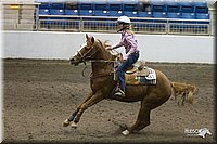 4H-State-2010_0341.jpg