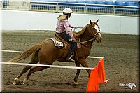 4H-State-2010_0347.jpg