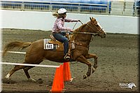 4H-State-2010_0349.jpg