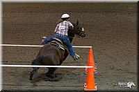 4H-State-2010_0360.jpg