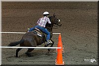 4H-State-2010_0361.jpg