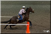 4H-State-2010_0362.jpg