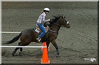 4H-State-2010_0363.jpg