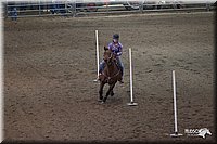 4H-State-2010_0142.jpg