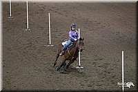 4H-State-2010_0146.jpg