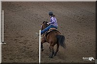 4H-State-2010_0156.jpg