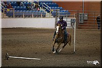 4H-State-2010_0179.jpg