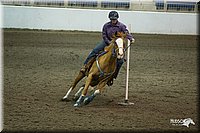 4H-State-2010_0185.jpg