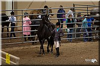 4H-State-2010_0001.jpg