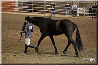 4H-State-2010_0005.jpg