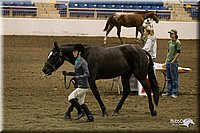 4H-State-2010_0007.jpg