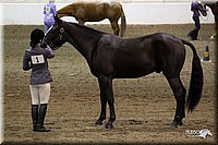 4H-State-2010_0028.jpg