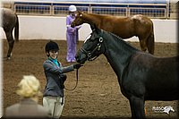 4H-State-2010_0030.jpg