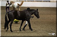4H-State-2010_0034.jpg