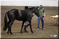4H-State-2010_0035.jpg