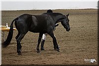4H-State-2010_0036.jpg