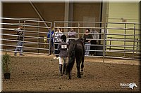 4H-State-2010_0038.jpg