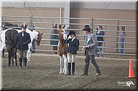 4H-State-2010_0495.jpg