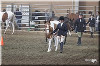 4H-State-2010_0496.jpg