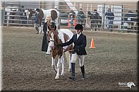 4H-State-2010_0499.jpg