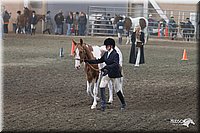 4H-State-2010_0500.jpg