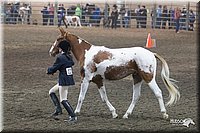 4H-State-2010_0502.jpg