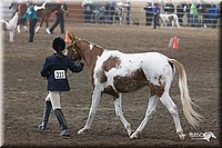 4H-State-2010_0503.jpg