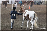 4H-State-2010_0504.jpg
