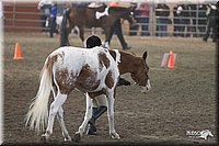 4H-State-2010_0505.jpg