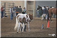 4H-State-2010_0506.jpg