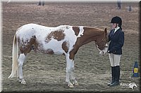 4H-State-2010_0510.jpg