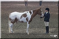 4H-State-2010_0513.jpg