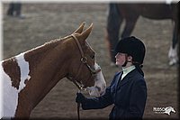 4H-State-2010_0515.jpg