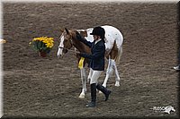 4H-State-2010_0520.jpg