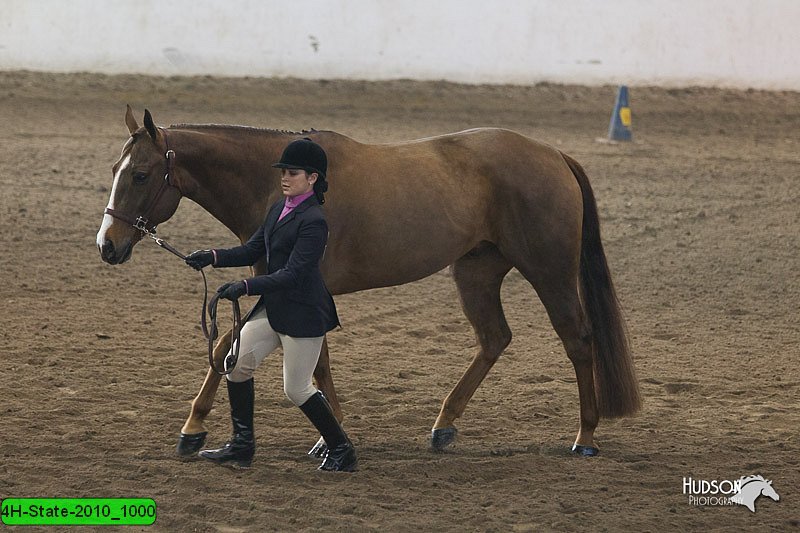 4H-State-2010_1000.jpg