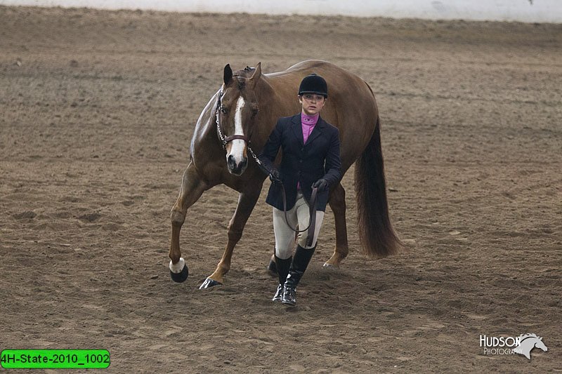 4H-State-2010_1002.jpg