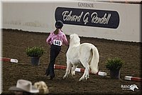 4H-State-2010_0546.jpg