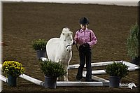 4H-State-2010_0556.jpg