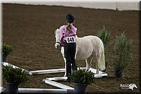 4H-State-2010_0557.jpg