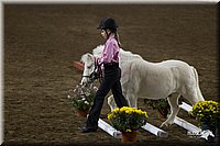 4H-State-2010_0560.jpg