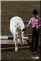 4H-State-2010_0570.jpg