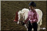 4H-State-2010_0577.jpg