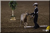 4H-State-2010_0581.jpg