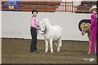 4H-State-2010_0583.jpg