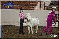 4H-State-2010_0584.jpg
