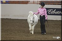 4H-State-2010_0587.jpg
