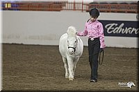 4H-State-2010_0588.jpg