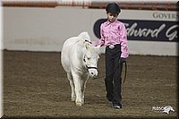 4H-State-2010_0589.jpg