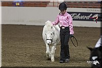 4H-State-2010_0591.jpg