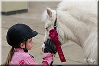 4H-State-2010_0594.jpg